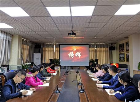 向榜樣看齊，做合格黨員