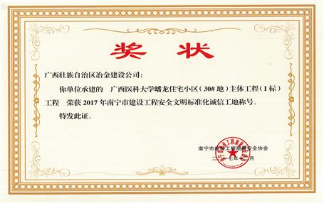 南寧分公司四個項目獲表彰！