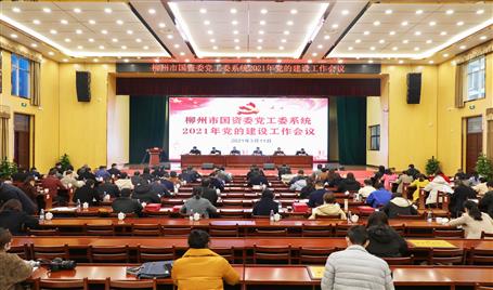 柳州市國資委黨工委系統(tǒng)2021年黨的建設工作會議在公司禮堂召開