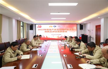 廖立波、唐峰、何勇以普通黨員身份參加所在黨支部2022年度組織生活會